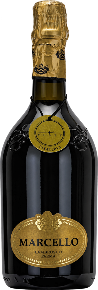 Marcello Lambrusco